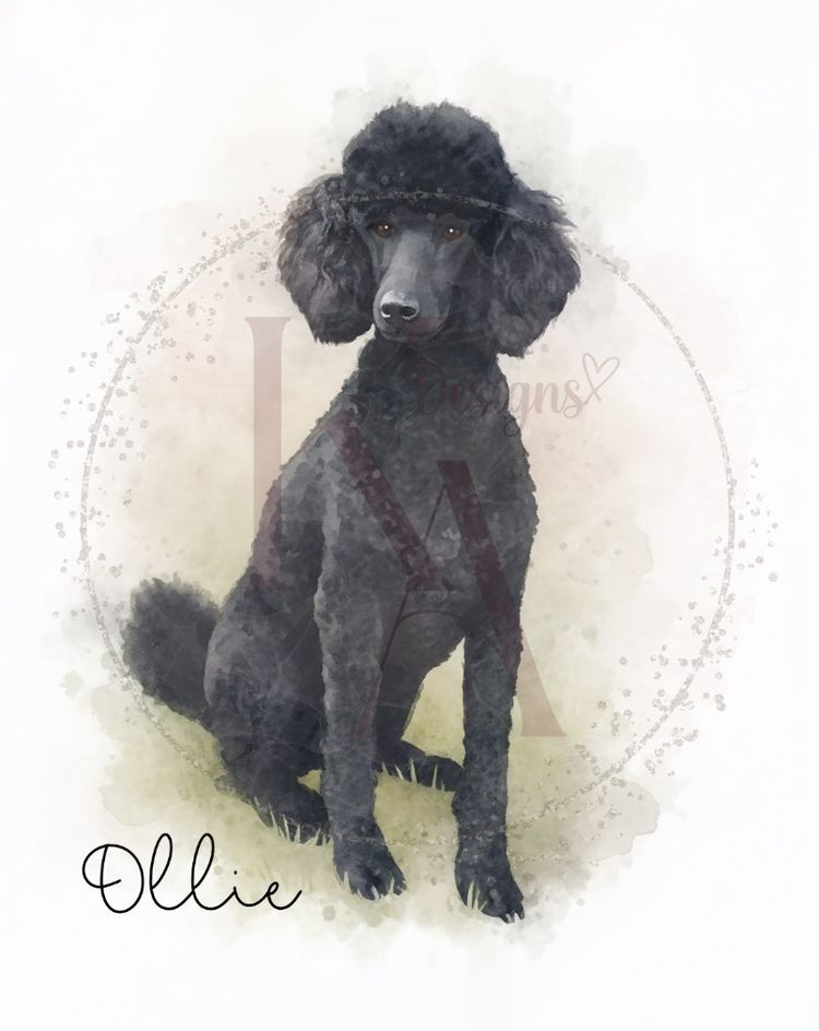 A4 Custom Watercolour Paint Effect Prints 